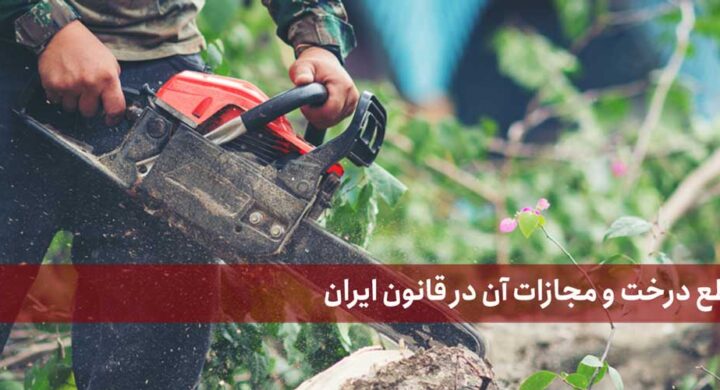 جرم قطع درخت و مجازات آن در قانون ایران